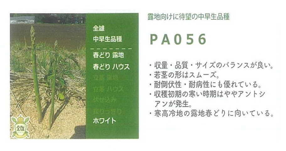 【アスパラガス】PA056〔サナテックシード 0572〕