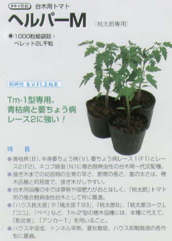 【台木備品種】赤ナス用 御手伝いM〔タキイ掛け合わせ〕