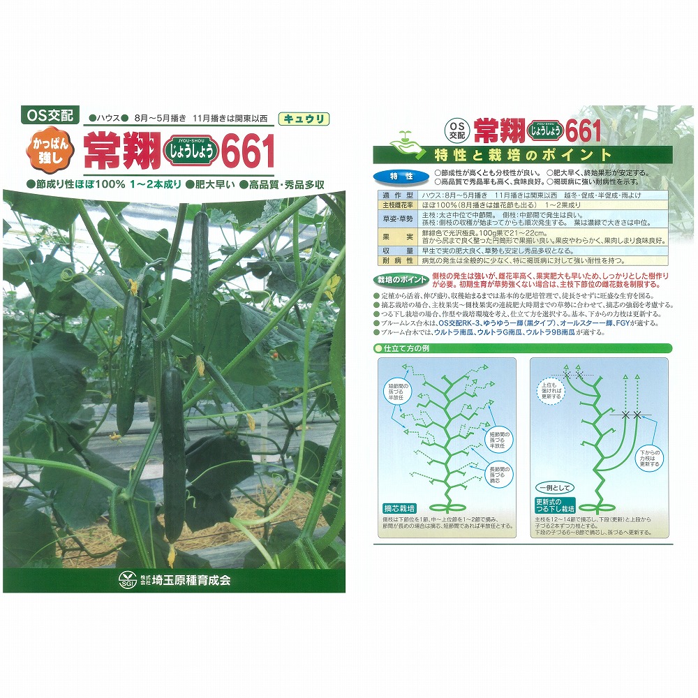 【黄瓜】常翔661〔os掛け合わせ〕