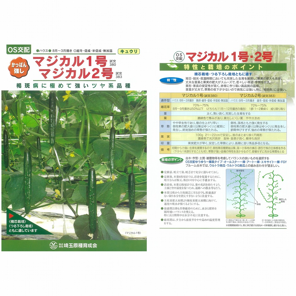【キュウリ】マジカル1号〔OS交配〕｜野菜のタネのお買い物　太田のタネ