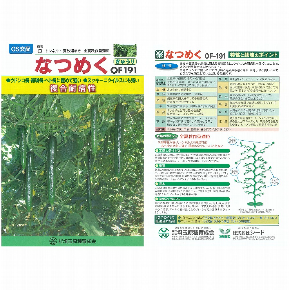 【キュウリ】なつめく〔OS交配〕｜野菜のタネのお買い物　太田のタネ