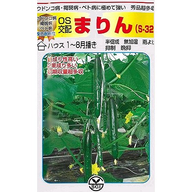 【黄瓜】まりん〔os掛け合わせ〕