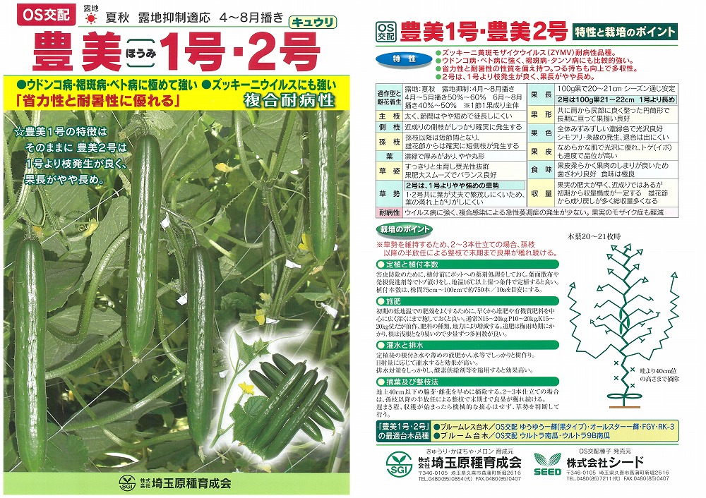 【キュウリ】豊美 2号〔OS交配〕|野菜のタネのお買い物 太田のタネ