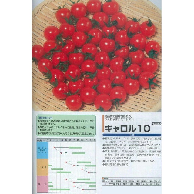 【ミニ赤ナス】キャロル10〔サカタ掛け合わせ〕