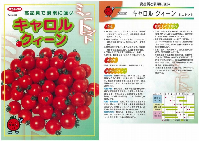【ミニ赤ナス】キャロルクィーン〔サカタ掛け合わせ〕