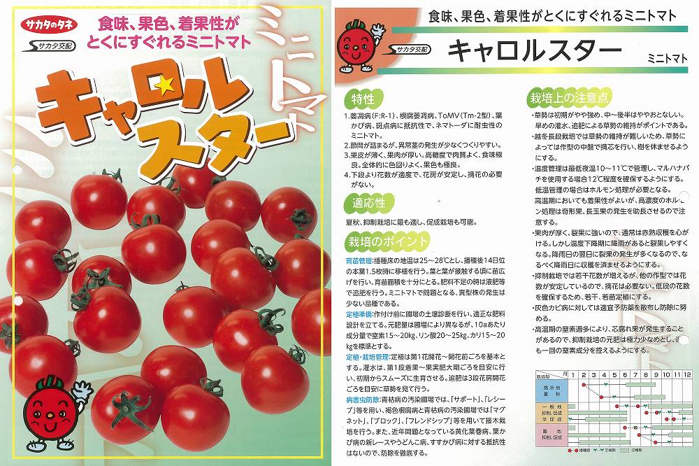 【ミニ赤ナス】キャロルはやりっ児〔サカタ掛け合わせ〕