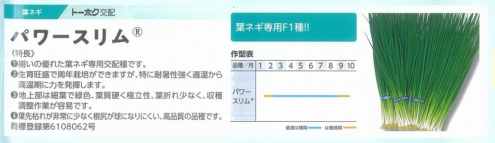 【ネギ】パワースリム〔トーホク交配〕