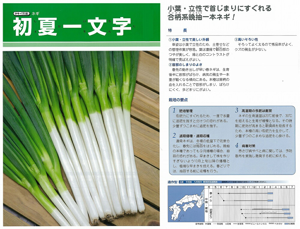 【ネギ】初夏一文字記号〔タキイ掛け合わせ〕