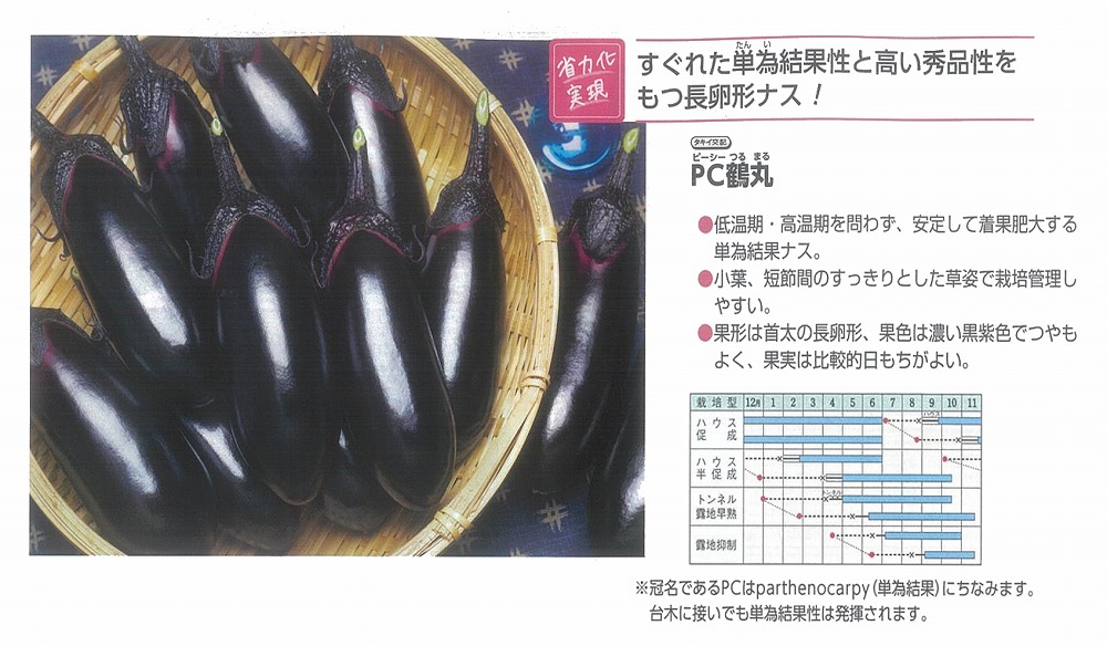 【茄子】パソコン鶴丸〔タキイ掛け合わせ〕