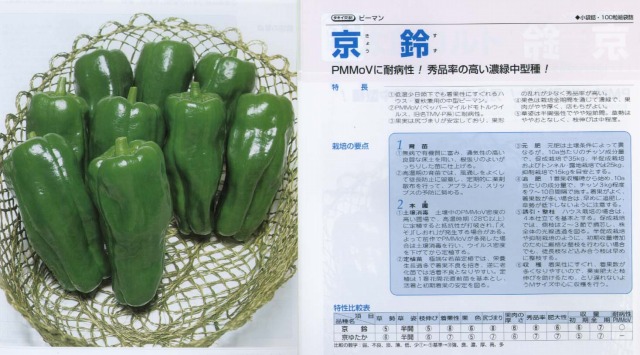 【トウガラシ】京鈴〔タキイ掛け合わせ〕