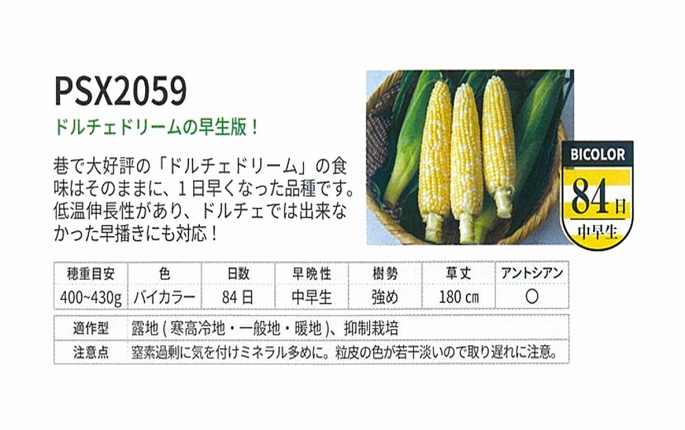 【玉蜀黍】スイートコーン PSX 2059〔0330〕