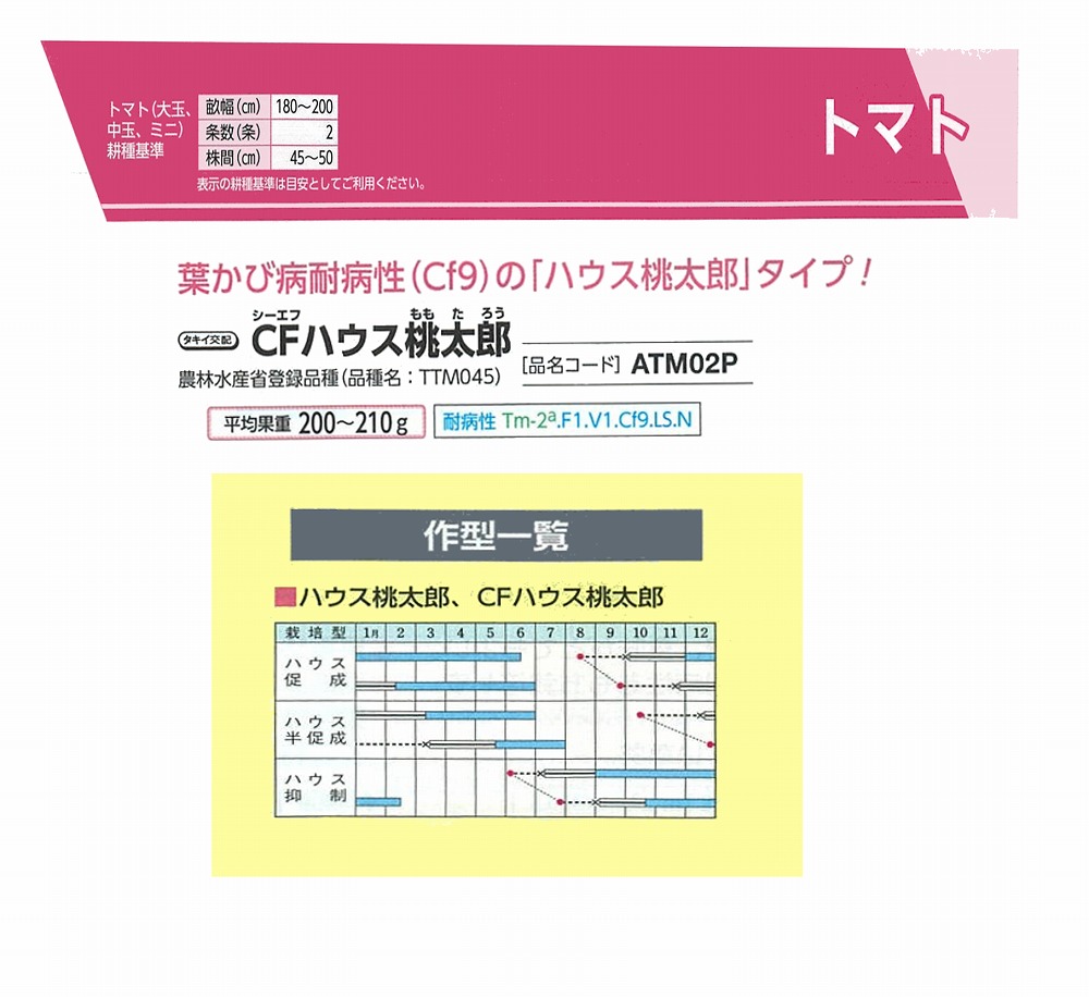【トマト】CFハウス桃太郎 (農林水産省登録品種(品種名:TTM045))〔タキイ交配〕|野菜のタネのお買い物 太田のタネ