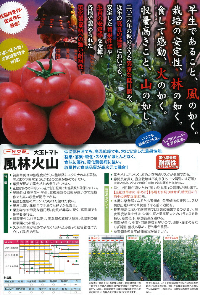 【トマト】風林火山〔一代交配0494〕(在庫限り)|野菜のタネのお買い物 太田のタネ