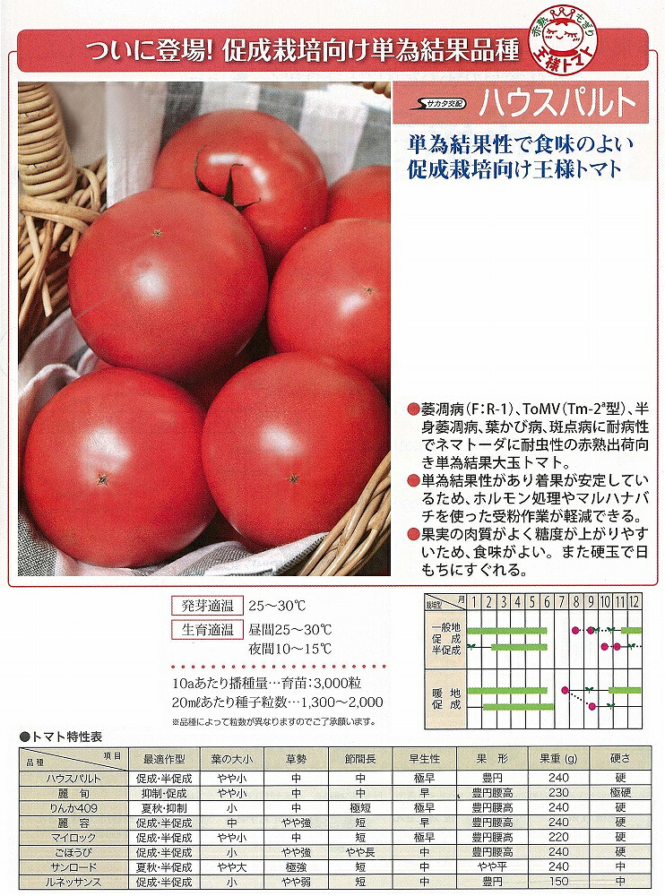 【赤ナス】ハウスパルト〔サカタ掛け合わせ〕