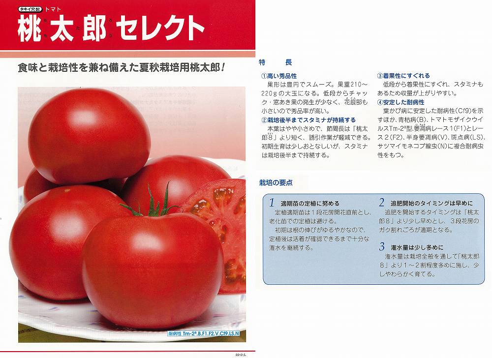 【トマト】桃太郎セレクト〔タキイ交配〕｜野菜のタネのお買い物　太田のタネ