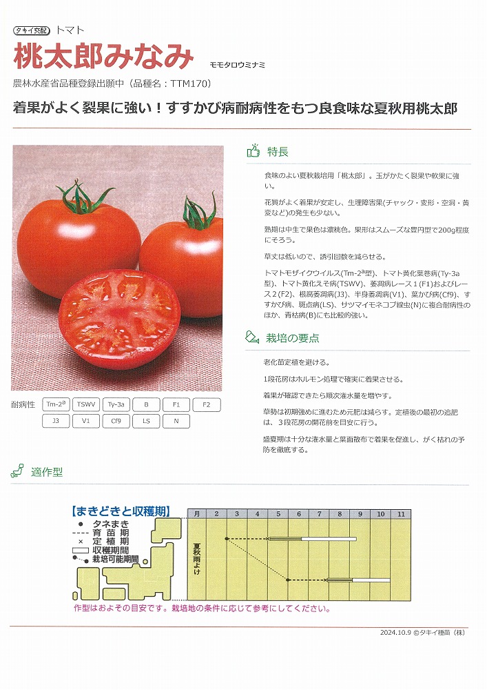 【赤茄子】桃太郎みなみ〔タキイ掛け合わせ〕
