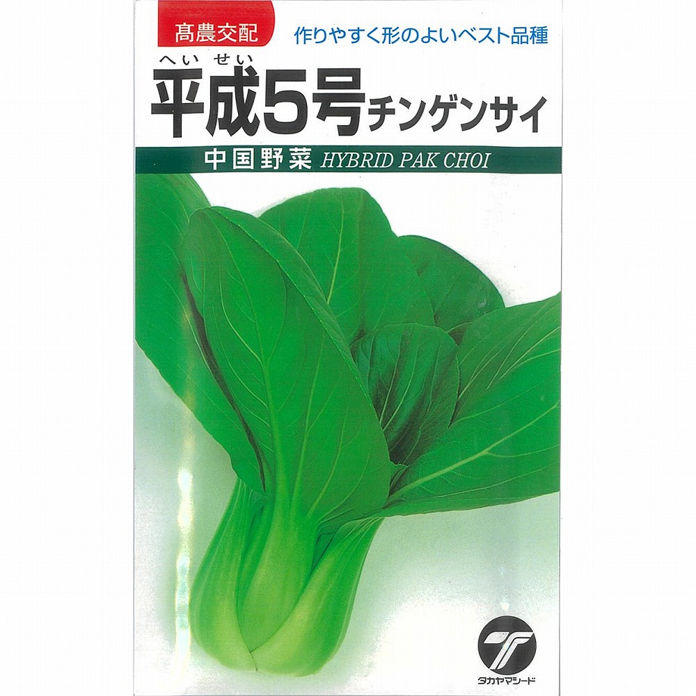 楽天市場】チャンチキ 5.5号 : 諏訪楽器