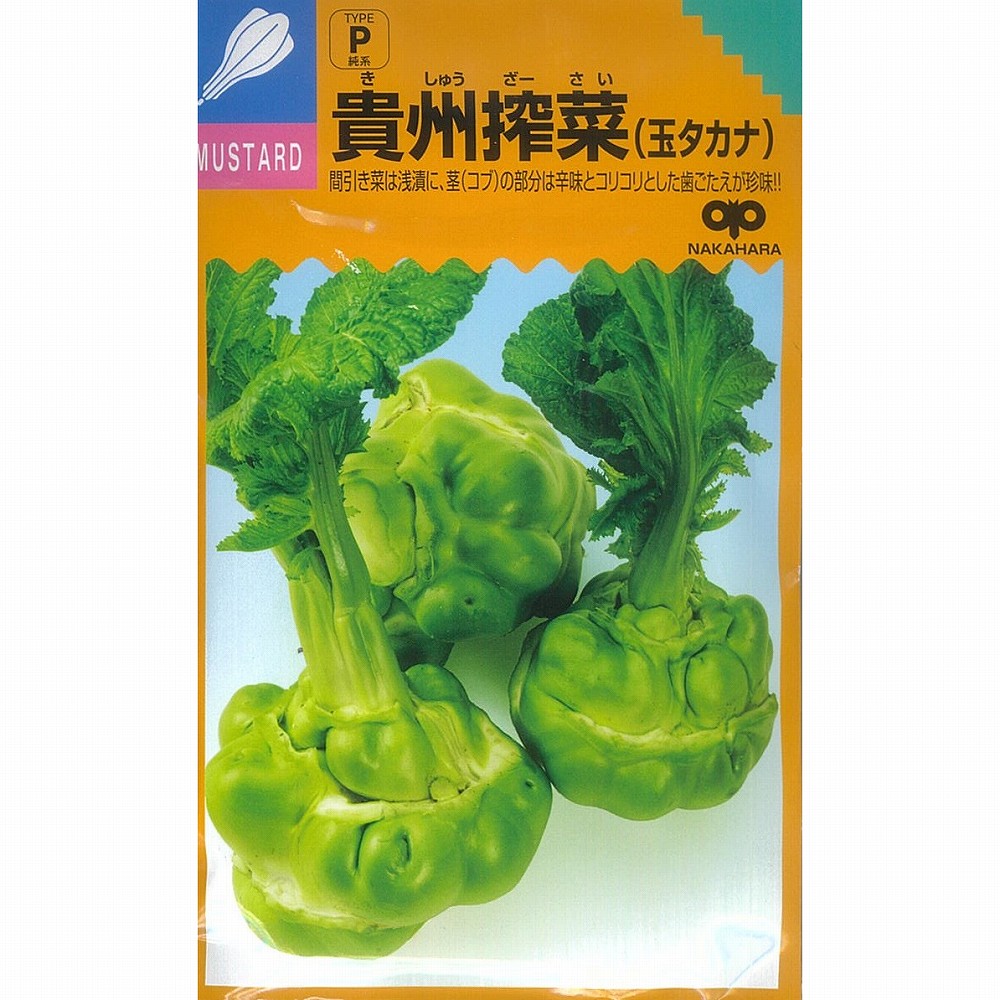 楽天市場】【中国野菜】四川搾菜（ザーサイ 筍タカナ）〔中原採種場