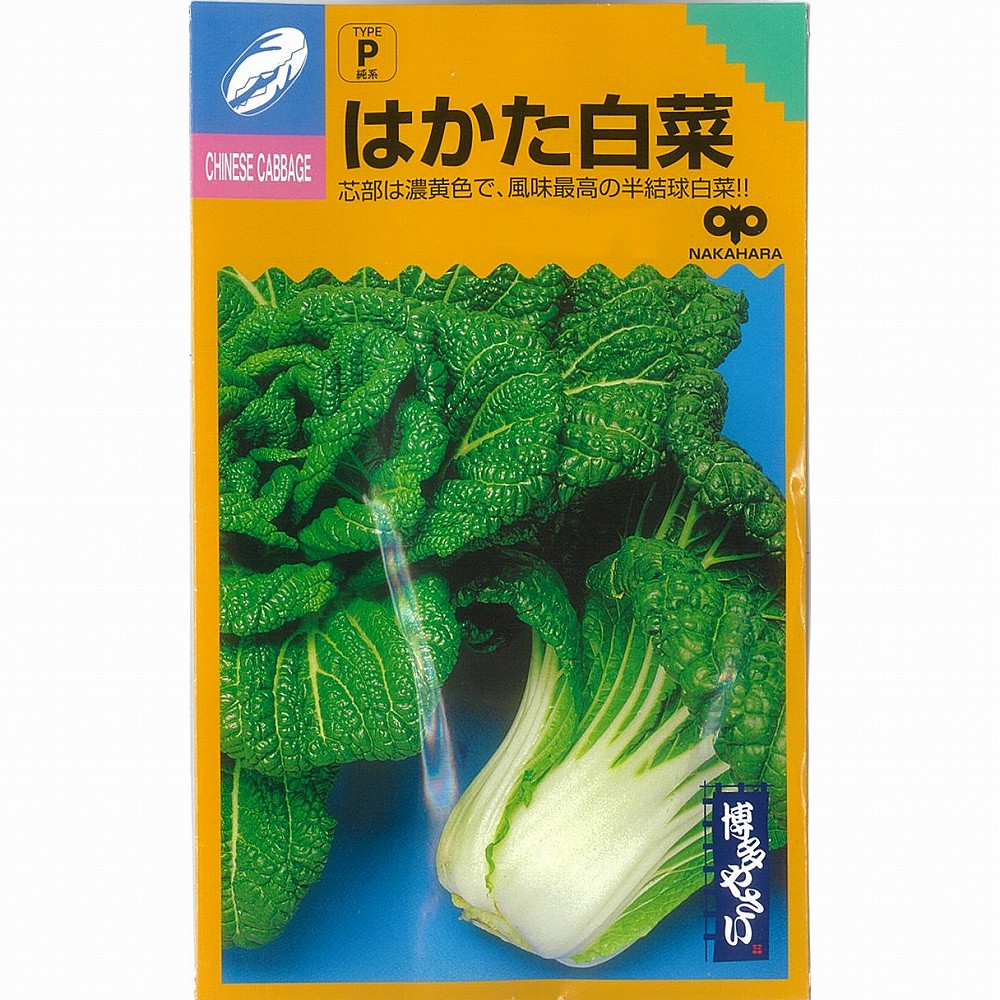 楽天市場】【ネギ】葉ネギ 九条太葱〔固定種〕/小袋 : 野菜のタネのお買い物 太田のタネ