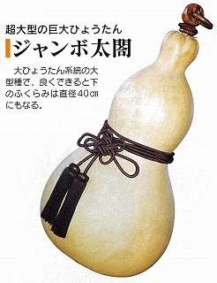 瓢箪 ひょうたん 大型 No.2 瓢箪 ひょうたん 大型 No.2 瓢箪