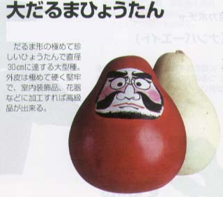 特大ひょうたん 61ERjF1s7oL._AC_UF350,