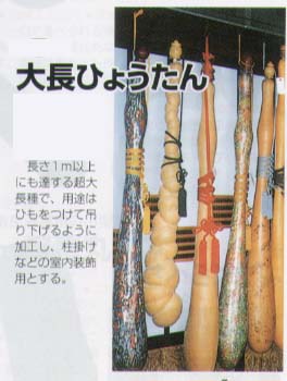 楽天市場】【ヒョウタン】大寿（大瓢箪）〔トキタ〕/小袋（10粒