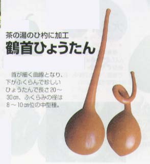 特大ひょうたん ヒョウタン 天下一｜種（タネ）,球根,苗,資材,ガーデニング