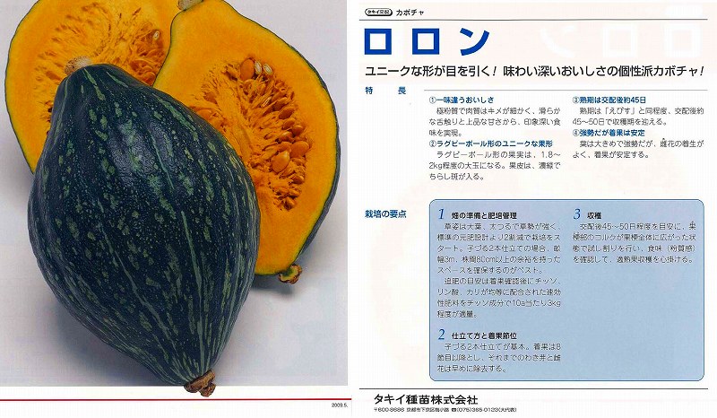 特大ひょうたん Amazon｜ひょうたん 水筒 ひょうたんウォーターボトル