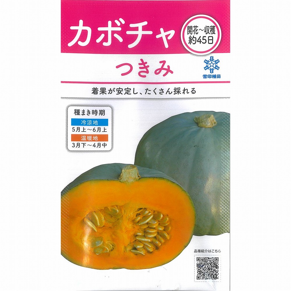 楽天市場 カボチャ つきみ 雪印交配 小袋 野菜のタネのお買い物 太田のタネ