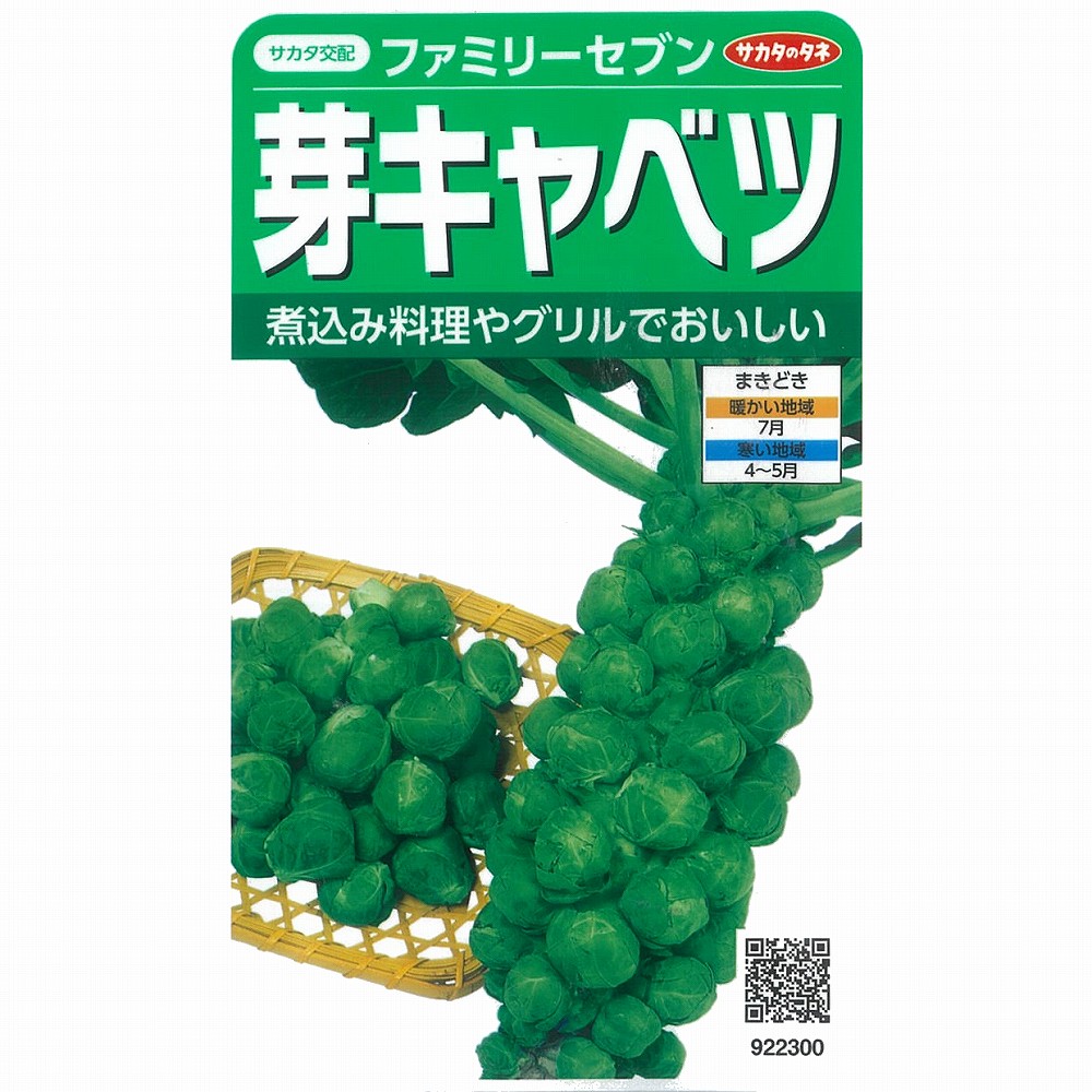 楽天市場 芽キャベツ コールラビ ケール 芽キャベツ ファミリーセブン サカタ交配 小袋 野菜のタネのお買い物 太田のタネ