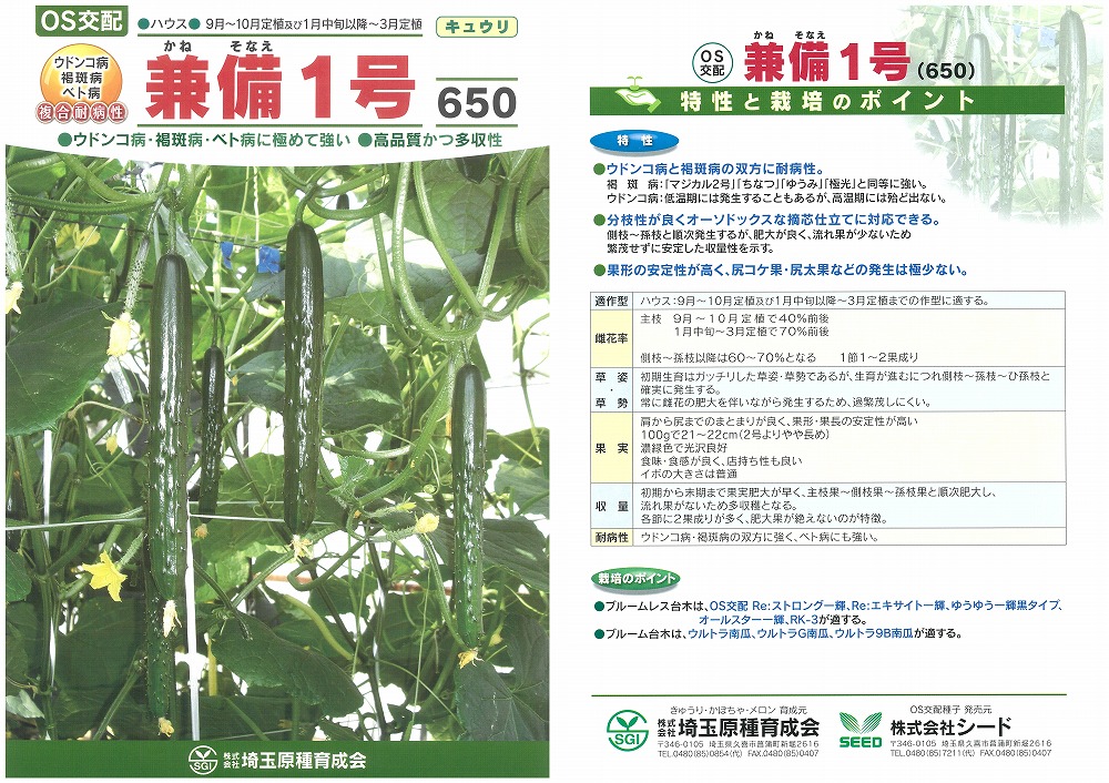 【黄瓜】兼備1号〔os掛け合わせ〕