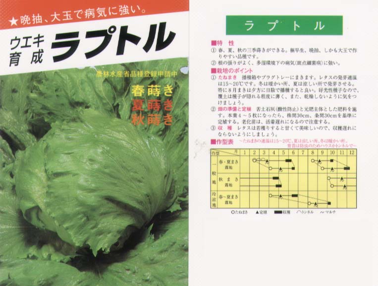 楽天市場】【レタス】ヒートガイ〔タキイ育成〕 / ペレット5000粒