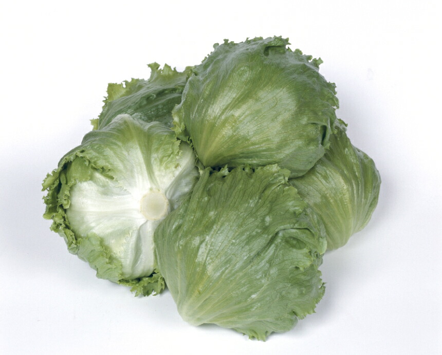 楽天市場】【レタス】ヒートガイ〔タキイ育成〕 / ペレット5000粒