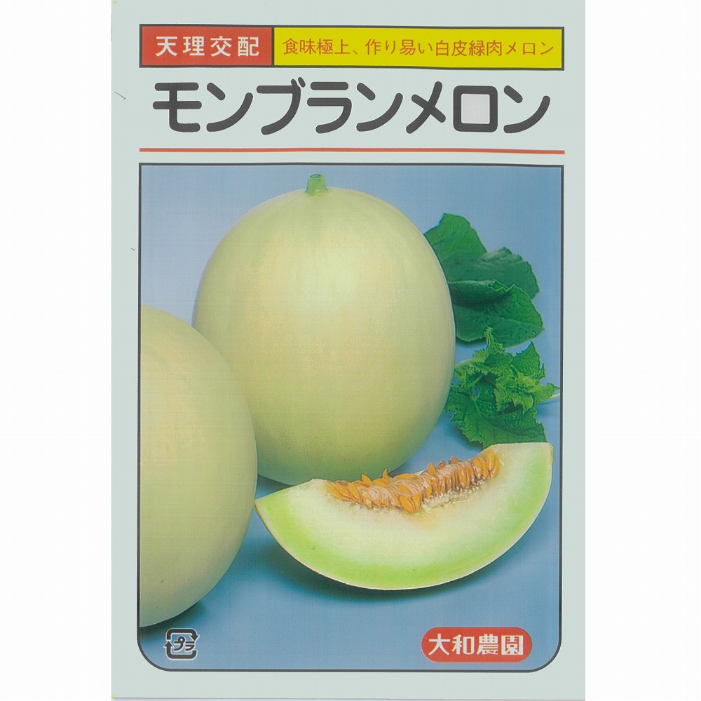 楽天市場 メロン モンブラン 天理交配 小袋 野菜のタネのお買い物 太田のタネ