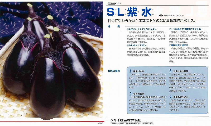 楽天市場】なす 【みずなす】 タキイ交配 種・小袋 （0.4ml） F1（一代