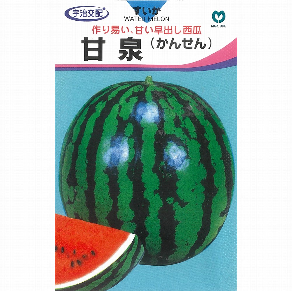 特大ひょうたん t-hytn-sennari.jpg