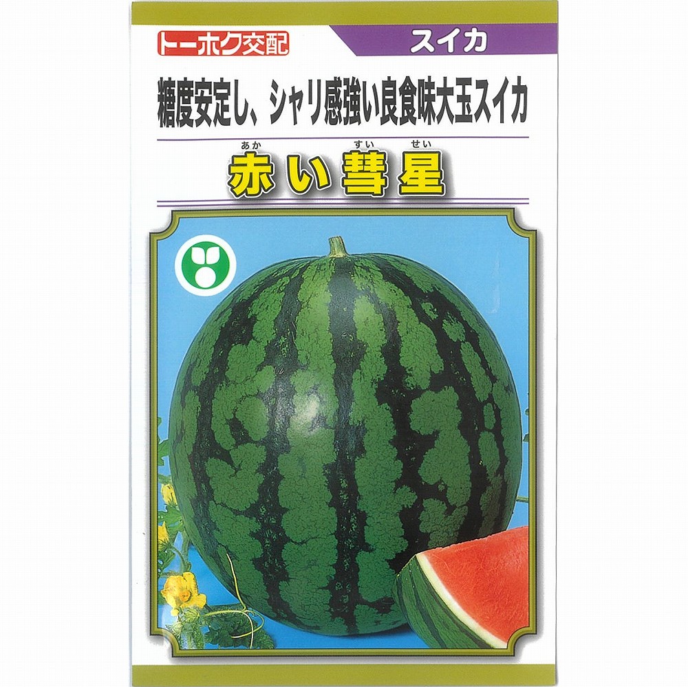 楽天市場】【スイカ】濃黄肉・大玉 サマークリーム（NW-183