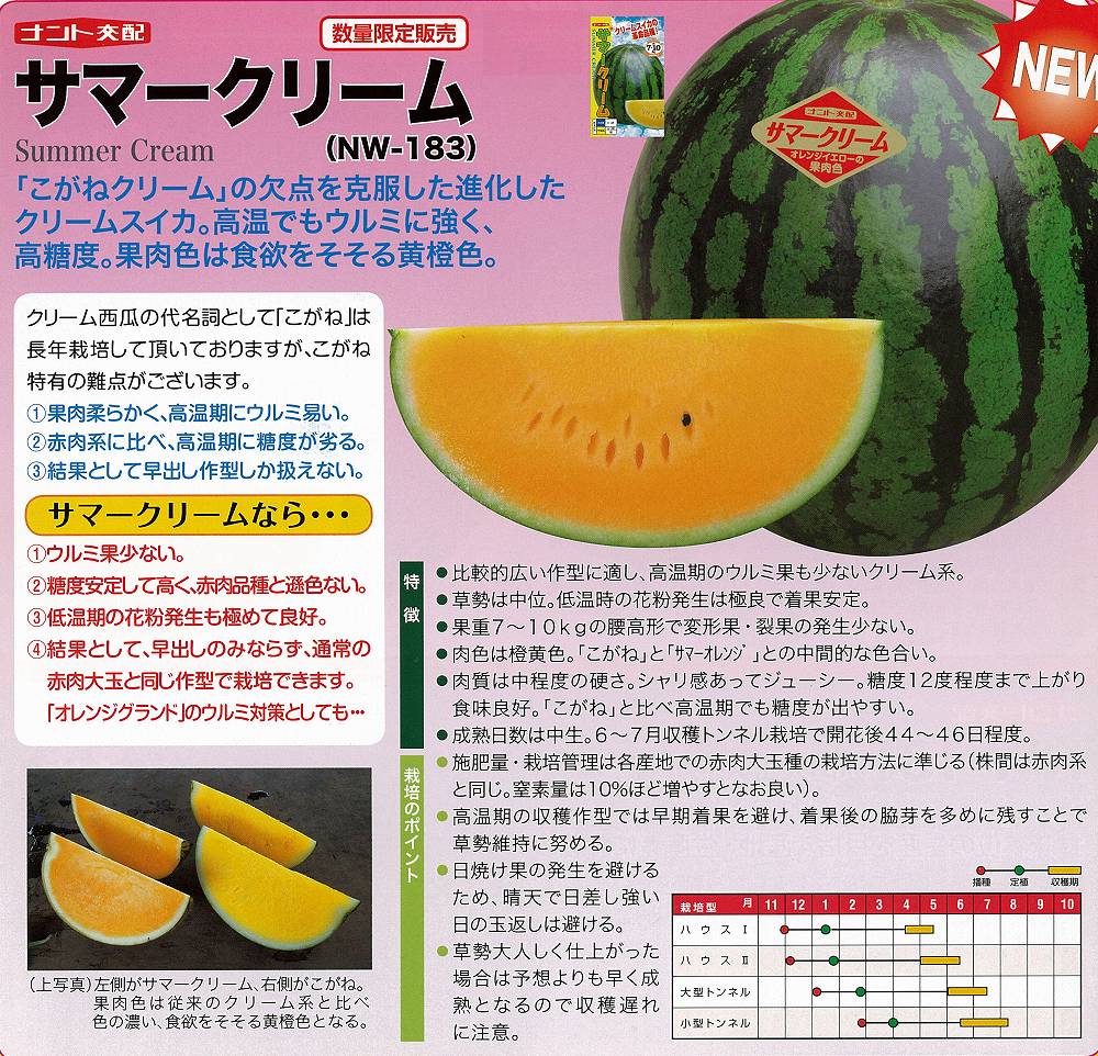 楽天市場 スイカ 濃黄肉 大玉 サマークリーム Nw 1 ナント交配 小袋 野菜のタネのお買い物 太田のタネ