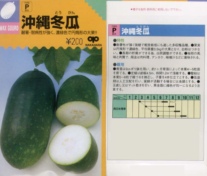 楽天市場 冬瓜 沖縄冬瓜 中原採種 小袋 野菜のタネのお買い物 太田のタネ