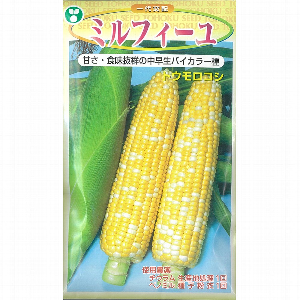 とうもろこしページ Amazon.co.jp: 実生野菜苗 トウモロコシ F1スーパースイート83