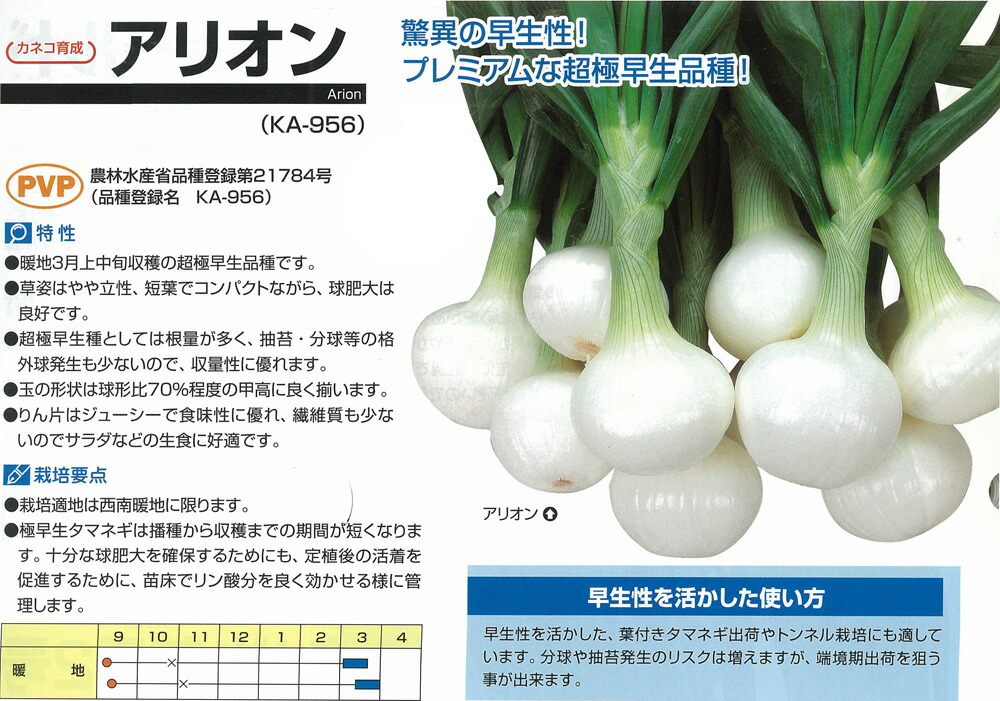 たまねぎ11号 様 商品情報|新篠津つちから農場