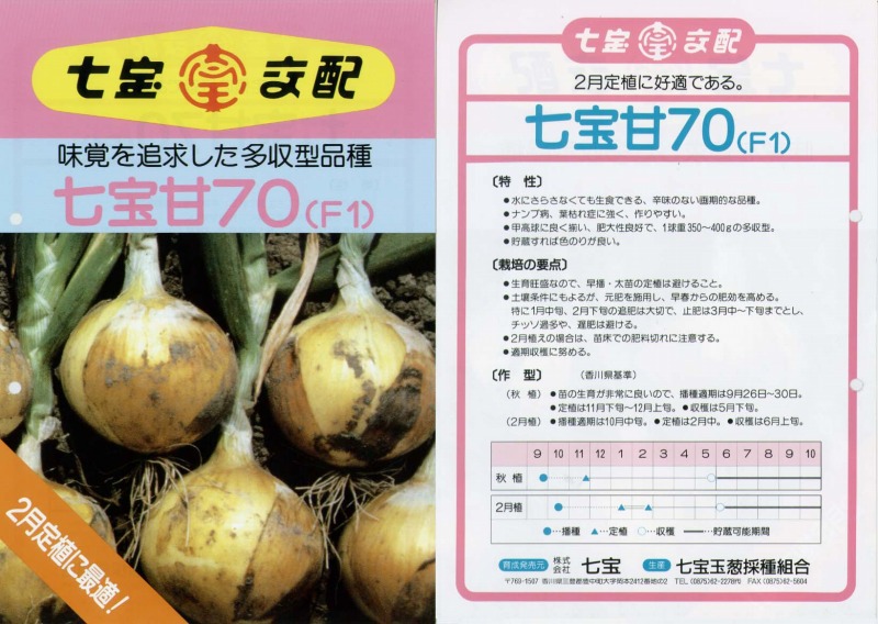楽天市場】※9月入荷予定タマネギ種【 七宝早生七号 】（栽培用
