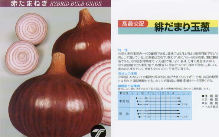 甲高赤玉葱 1000本　専用 甲高赤玉葱 1000本 専用 国華園オンラインショップ / （送料無料