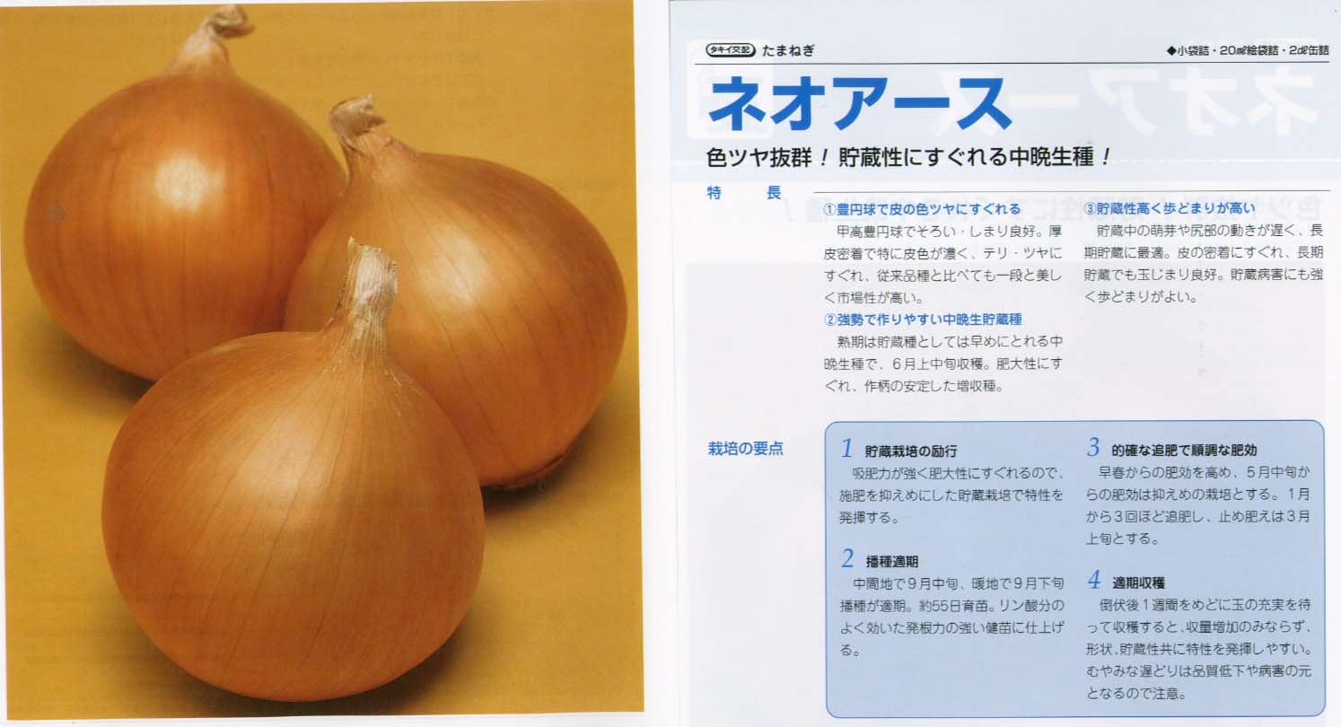 楽天市場】たまねぎ 【タキイ交配 ネオアース(タマネギ)(お徳用パック