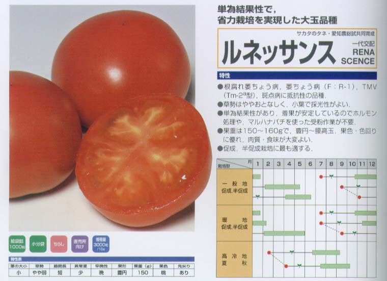 楽天市場 トマト ルネッサンス 一代交配 小袋 野菜のタネのお買い物 太田のタネ