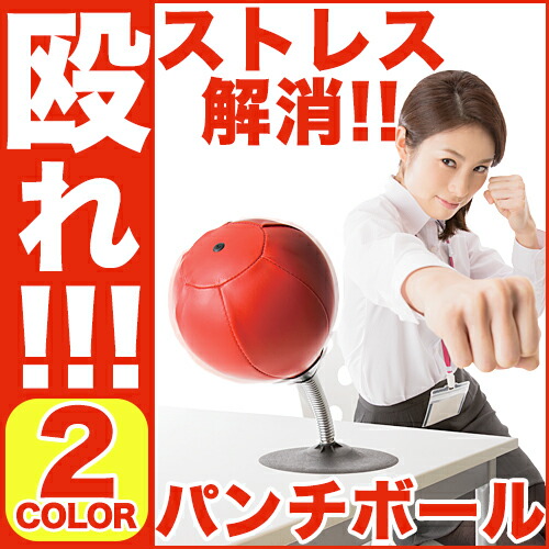 Shop R10s Jp Otbj Cabinet Sunfamily Sunfamily 9 Shop R10s Jp Otbj Cabinet Sunfamily Sunfamily 9