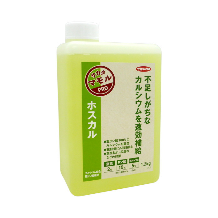 ただの葉っぱさん専用 027-0405428313006.jpg