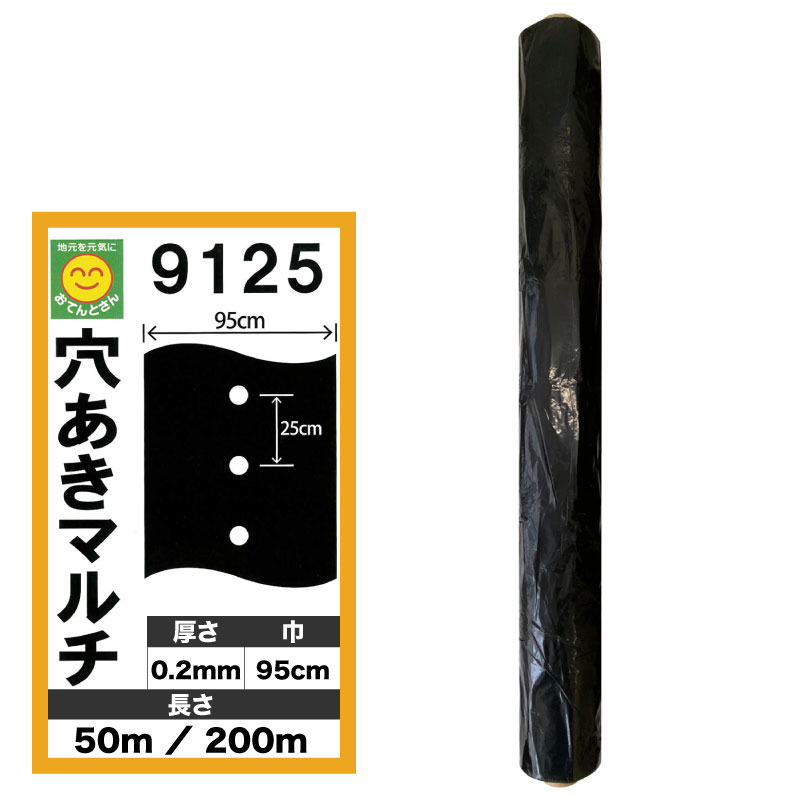 楽天市場】穴あき黒マルチ 9515 厚0.02mm×幅95cm×長50m／厚0.02mm×幅