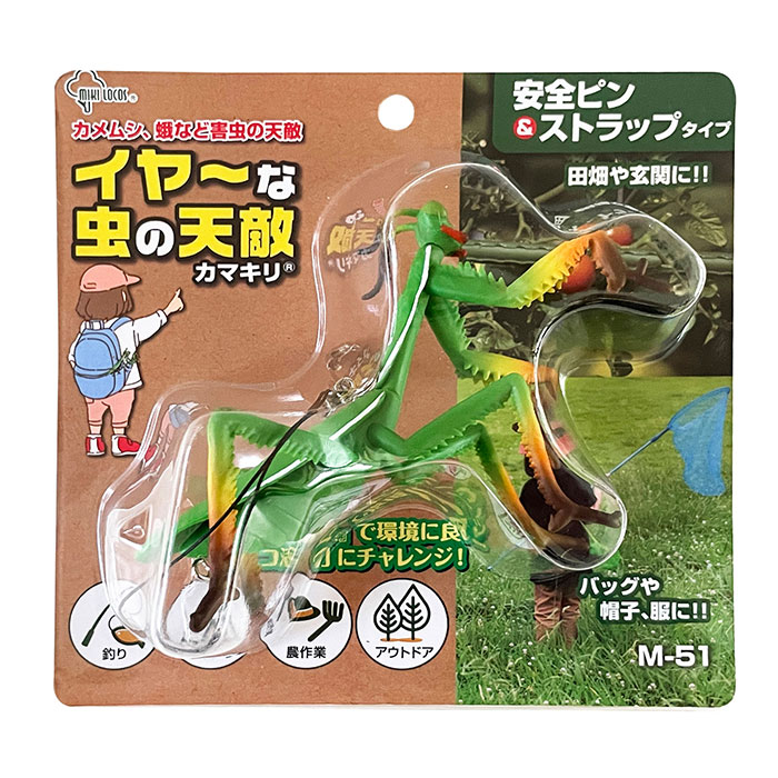 マルムネカマキリ　エクアドル産 楽天市場】害虫対策 イヤ〜な虫の天敵 カマキリ M-51 ミキロコス 防虫