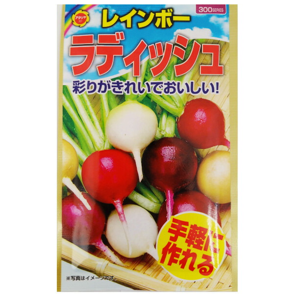価格応談可　144穴　野菜プラグポット 価格応談可144穴野菜プラグポット